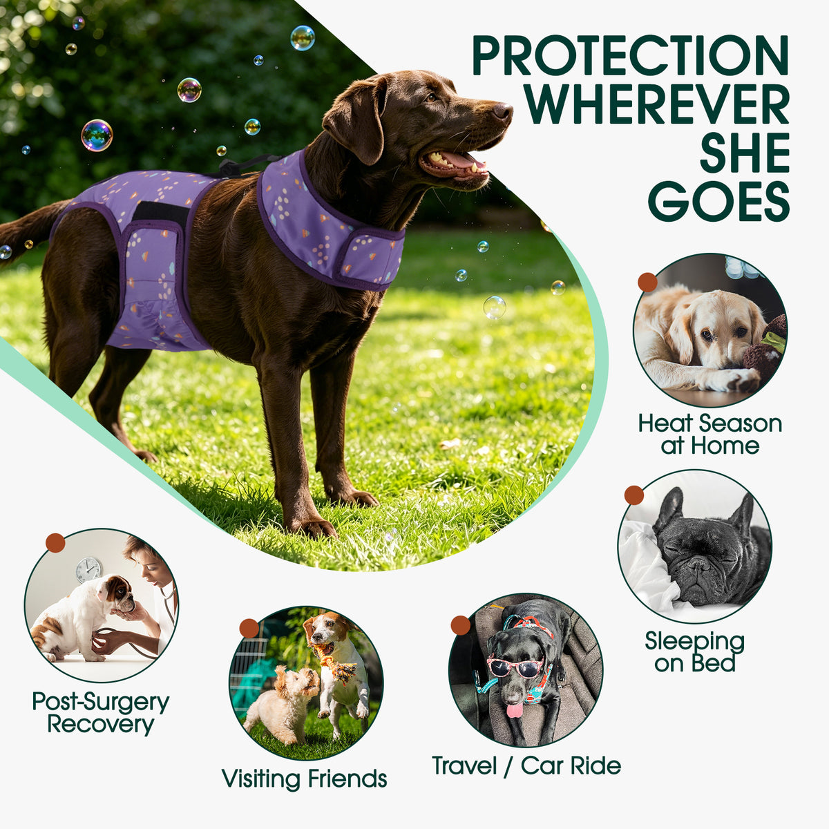IDOMIK Reusable Dog Diaper, Breathable Diaper with Anti-Slip Suspenders for Female Dogs, Adjustable Menstrual Belt for Puppy