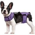 IDOMIK Reusable Dog Diaper, Breathable Diaper with Anti-Slip Suspenders for Female Dogs, Adjustable Menstrual Belt for Puppy, Pink,