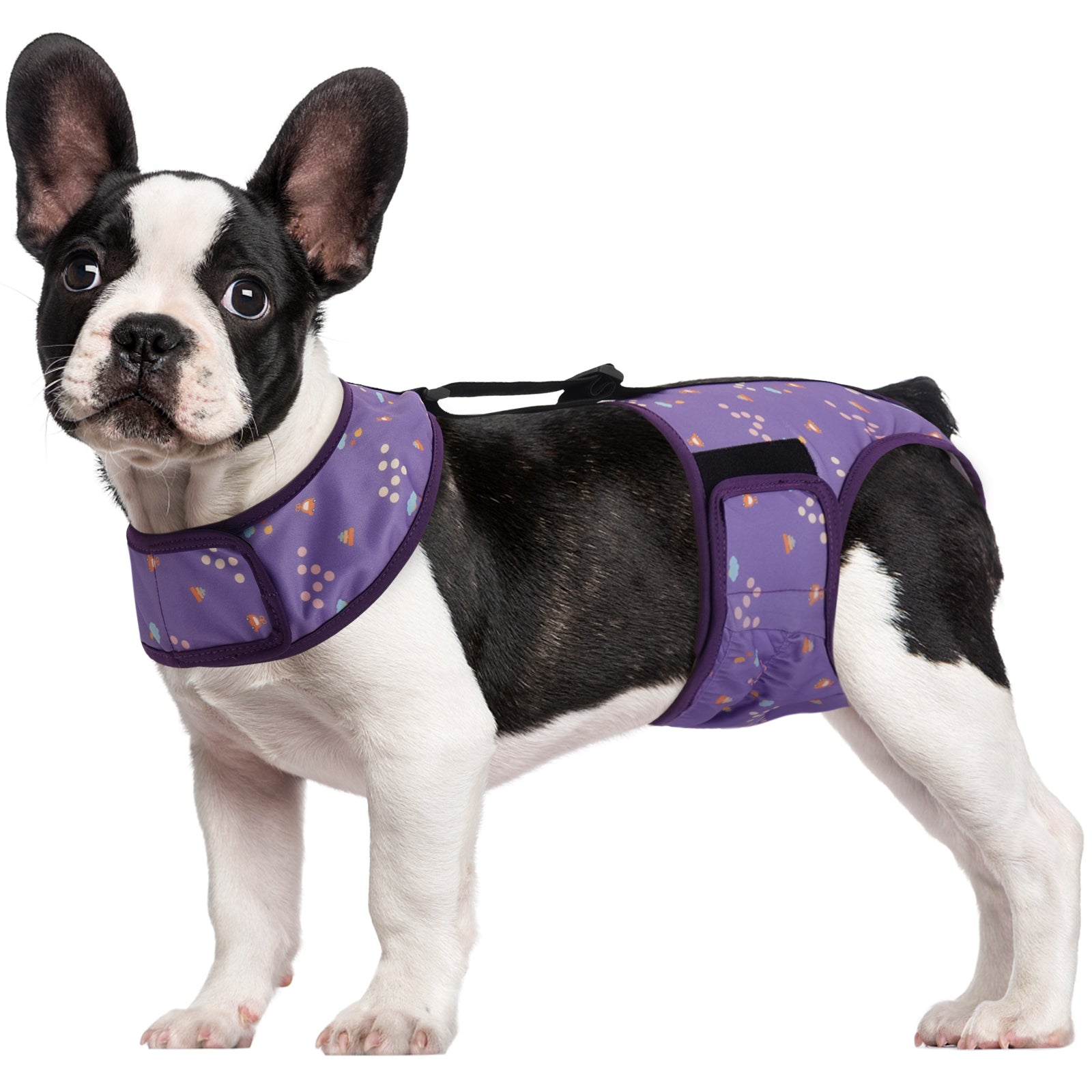 IDOMIK Reusable Dog Diaper, Breathable Diaper with Anti-Slip Suspenders for Female Dogs, Adjustable Menstrual Belt for Puppy