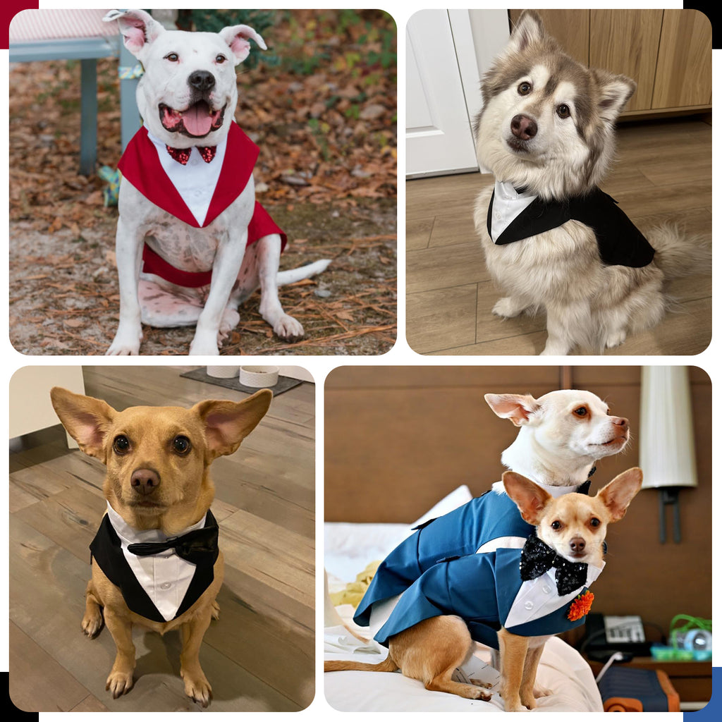 IDOMIK Dog Tuxedo Pet Wedding Party Suit and Bandana Set, Formal Clothes with Bow Tie