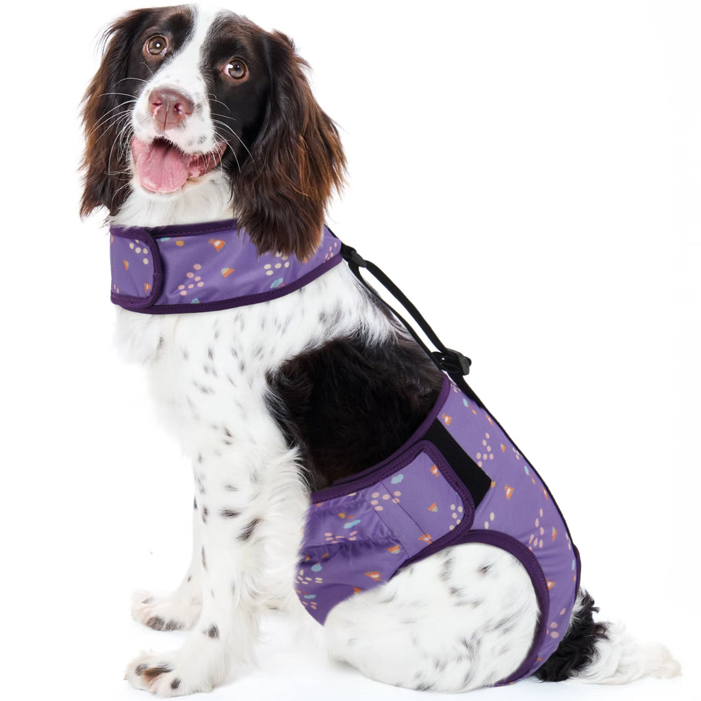 IDOMIK Reusable Dog Diaper, Breathable Diaper with Anti-Slip Suspenders for Female Dogs, Adjustable Menstrual Belt for Puppy, Pink,