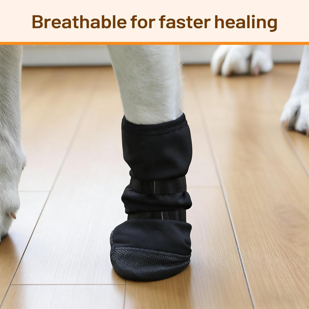 IDOMIK Dog Recovery Boot for Injured Paws, Breathable and Non-Slip Pet Shoes with Self-Adhesive Strap, Booties for Small Dogs