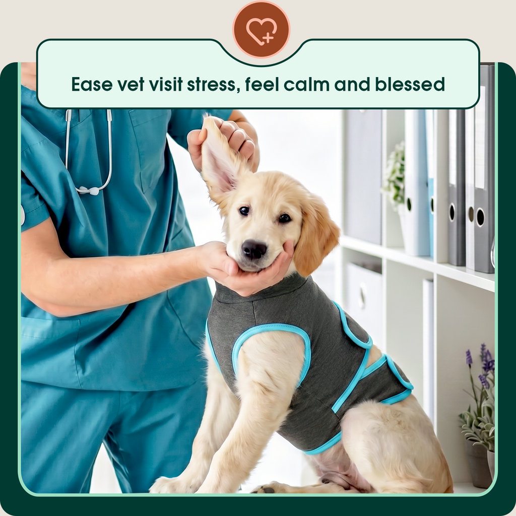 IDOMIK Dog Anxiety Vest, Adjustable Dog Calming Shirt for Fireworks, Travel & Separation Stress