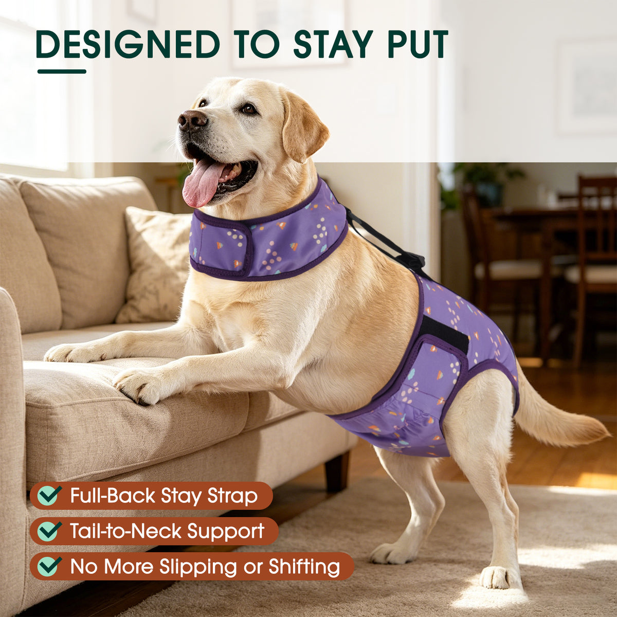 IDOMIK Reusable Dog Diaper, Breathable Diaper with Anti-Slip Suspenders for Female Dogs, Adjustable Menstrual Belt for Puppy